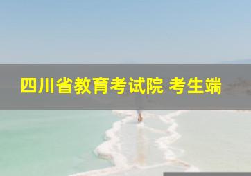 四川省教育考试院 考生端